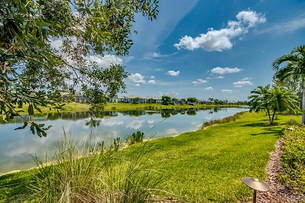 Lake and pond view from the yard with palm trees and clear blue sky