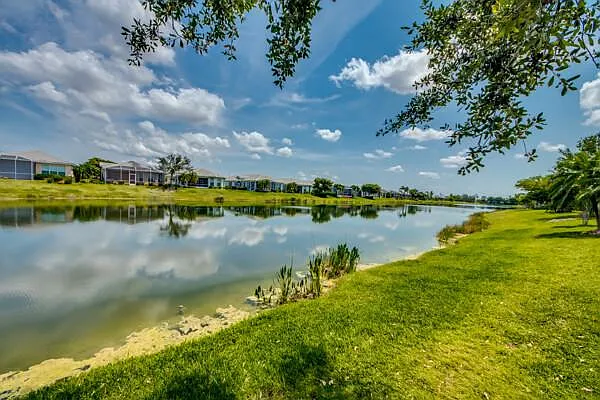 lake view tree